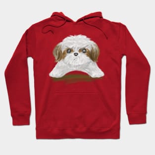 Grumpy Shih Tzu Hoodie